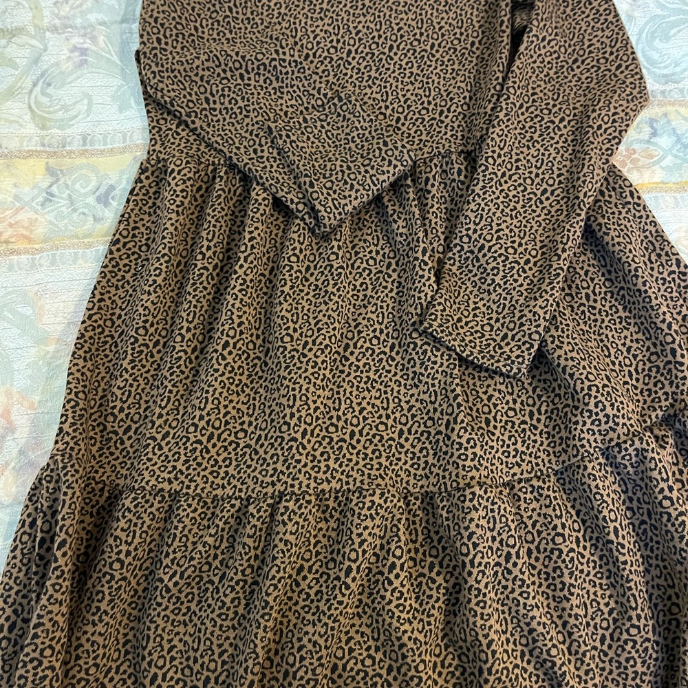 Leopard Print Long Sleeve Dress